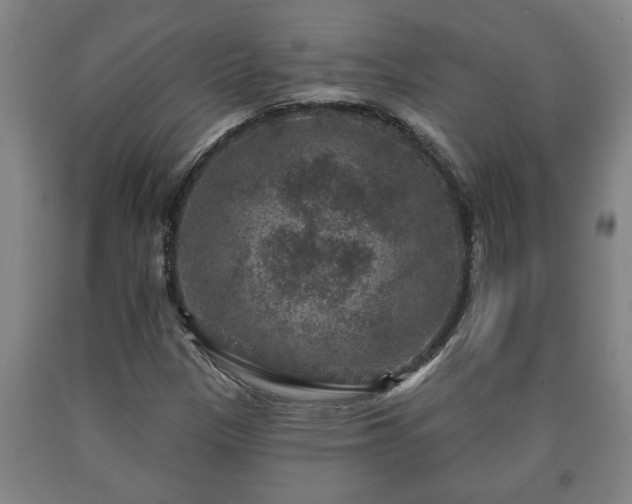 X0000090731305200707271354