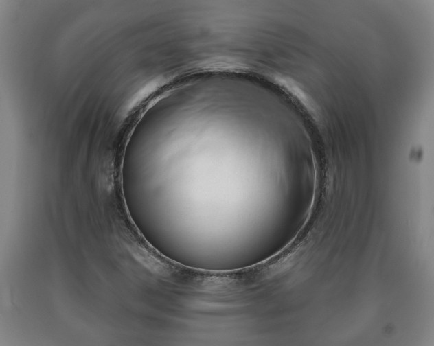 X0000090731306200707271354
