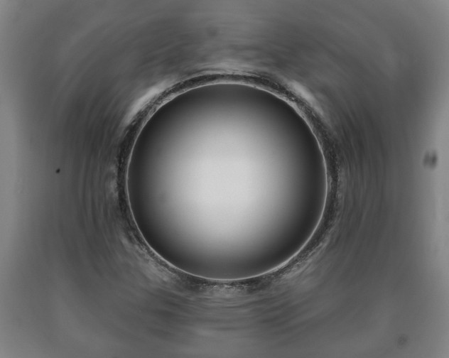 X0000090731307200707271354