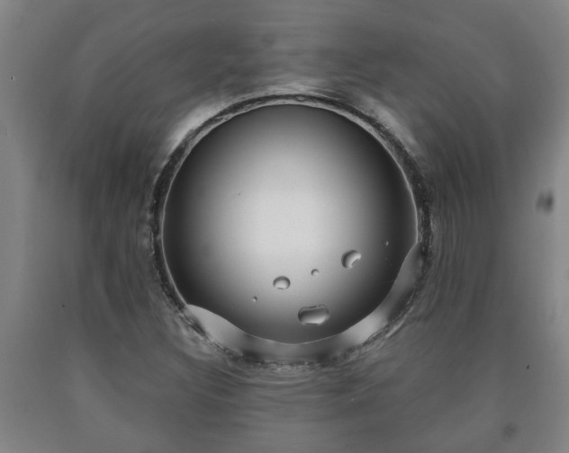 X0000090731308200707271354