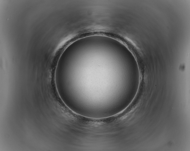 X0000090731309200707271354