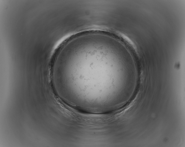 X0000090731310200707271354