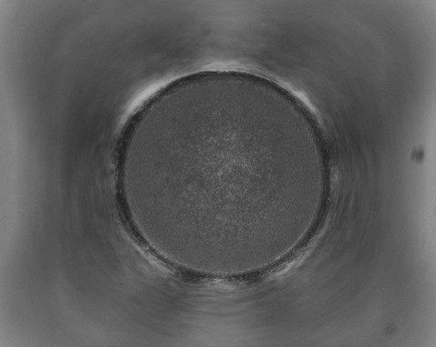 X0000090731311200707271354