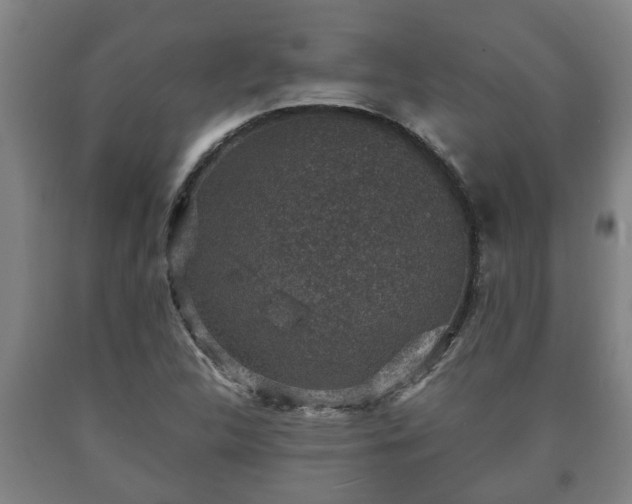 X0000090731312200707271354