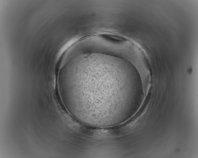 X0000090731317200707271354