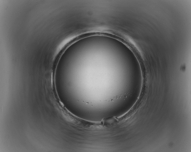 X0000090731320200707271355