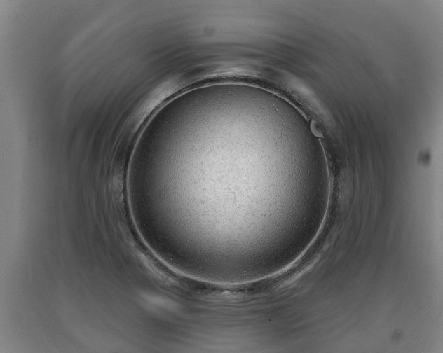 X0000090731321200707271355