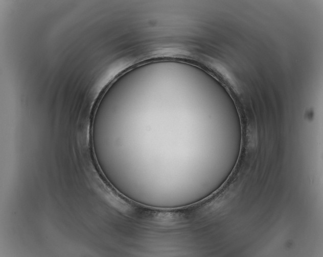 X0000090731322200707271355