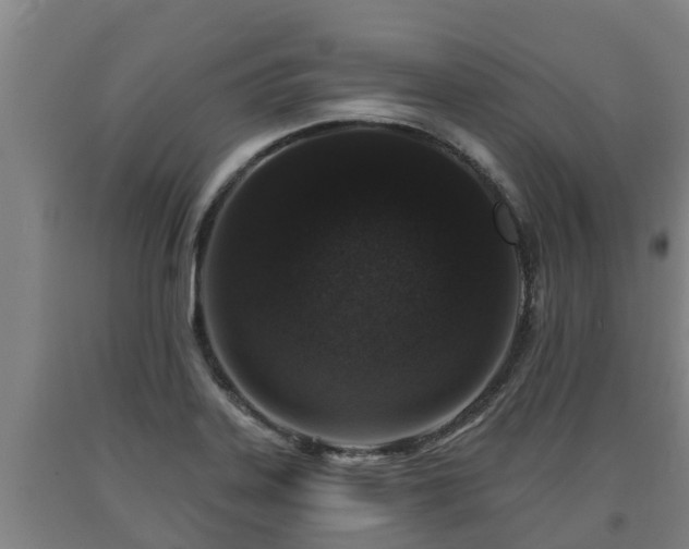 X0000090731323200707271355
