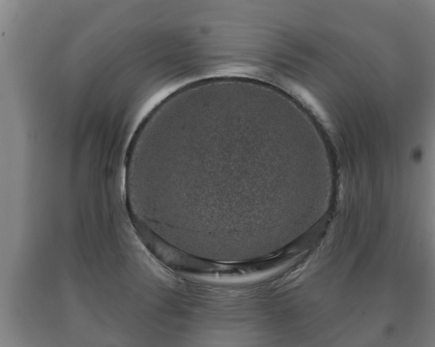 X0000090731324200707271355