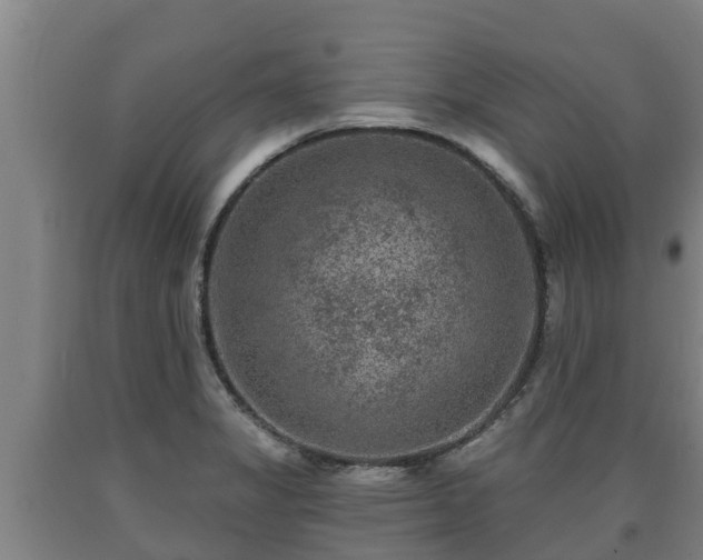 X0000090731325200707271355