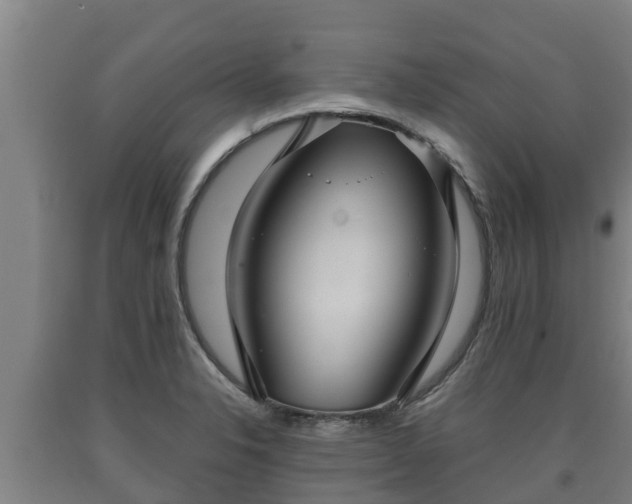 X0000090731326200707271355