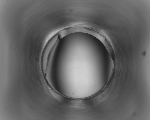 X0000090731328200707271355