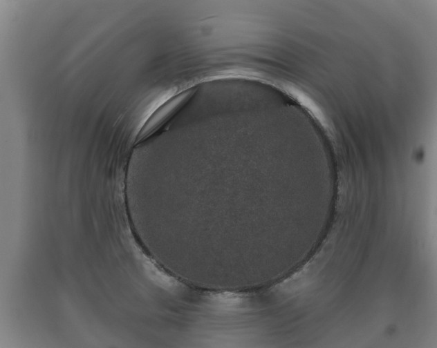 X0000090731329200707271355