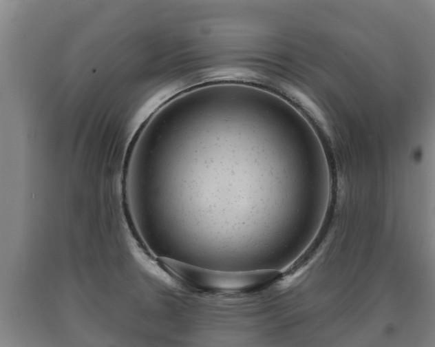 X0000090731330200707271355