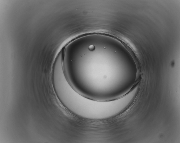 X0000090731332200707271355