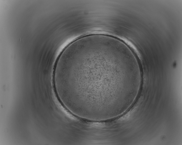 X0000090731333200707271355