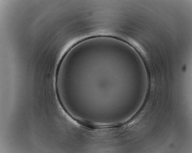 X0000090731334200707271355