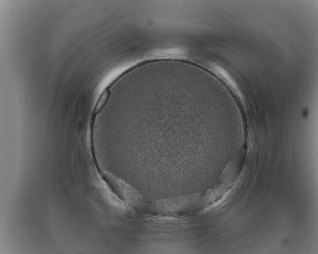 X0000090731336200707271355