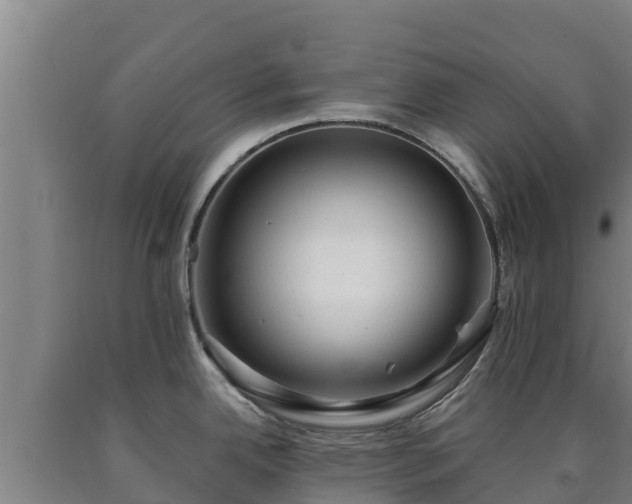 X0000090731342200707271355