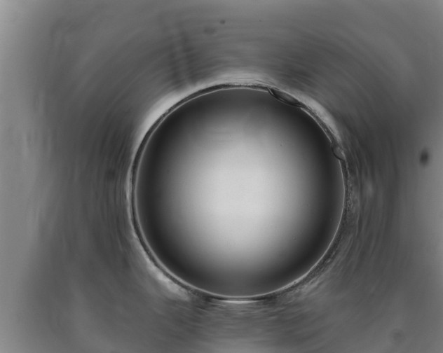 X0000090731343200707271355
