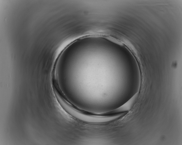 X0000090731344200707271355