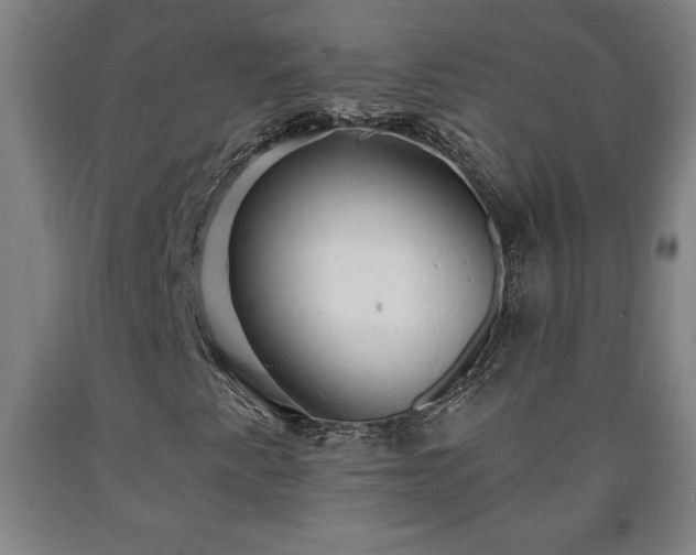 X0000090731345200707271354