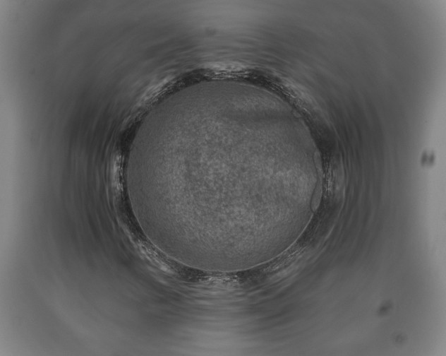 X0000090731346200707271354