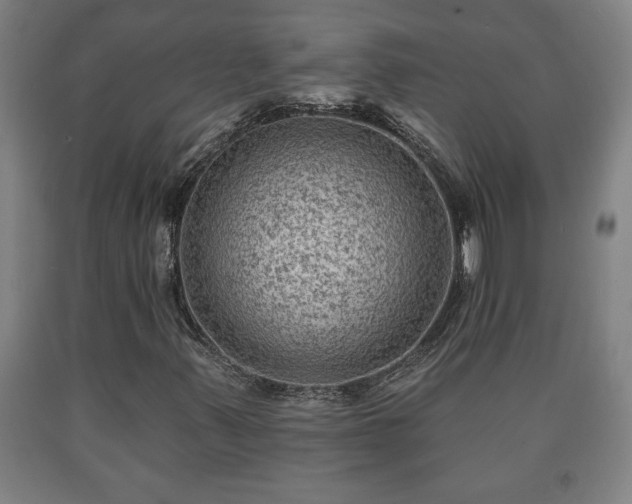 X0000090731347200707271354
