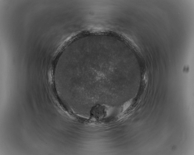X0000090731348200707271354