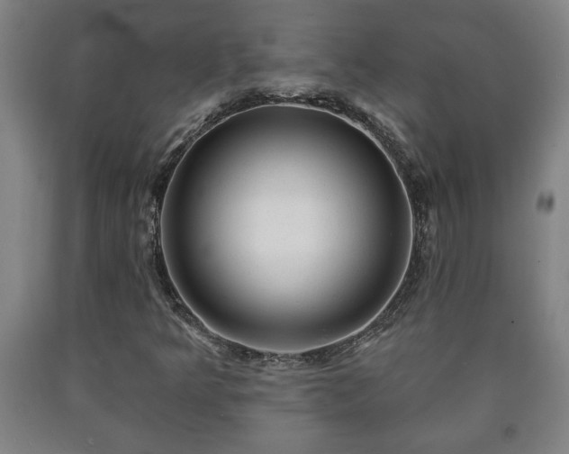 X0000090731349200707271354
