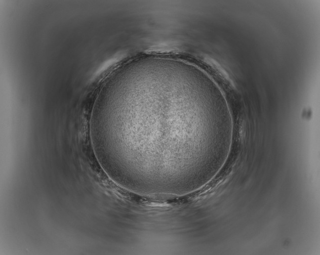 X0000090731350200707271354