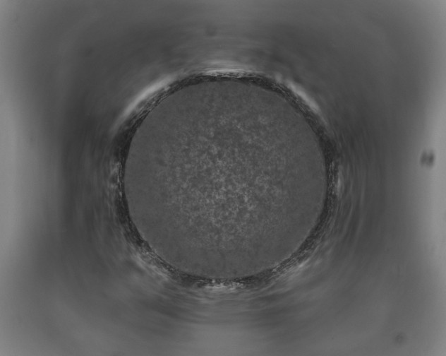 X0000090731351200707271354