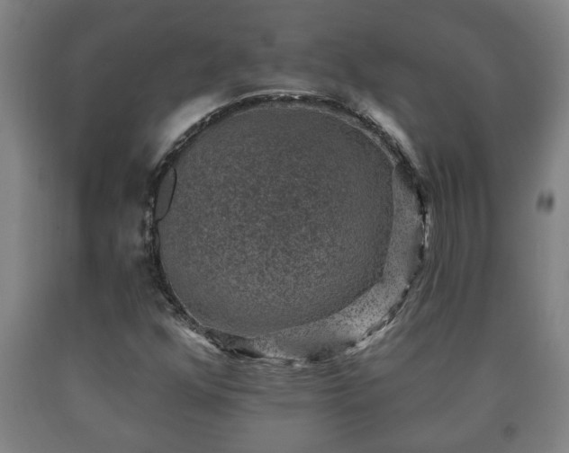 X0000090731352200707271354
