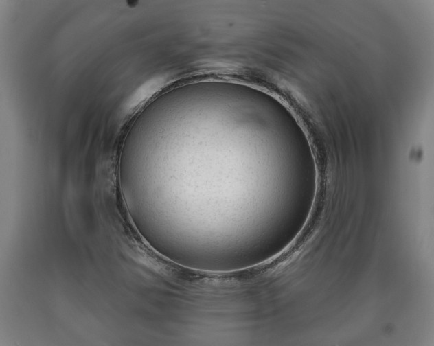 X0000090731354200707271354