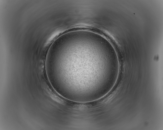 X0000090731355200707271354