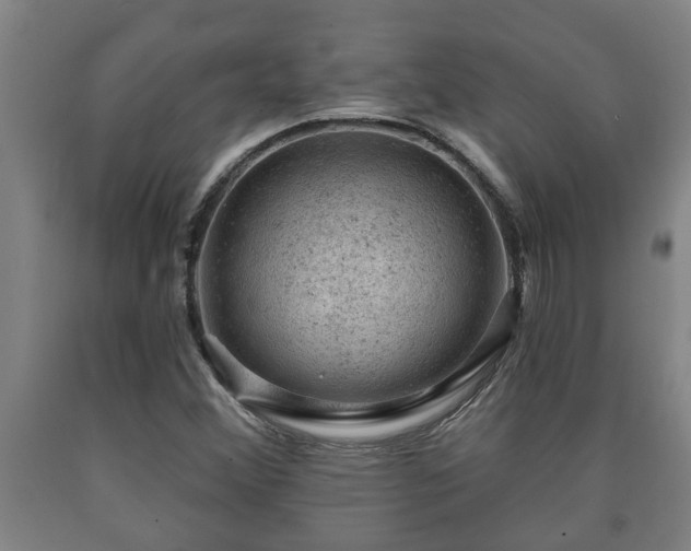 X0000090731356200707271354