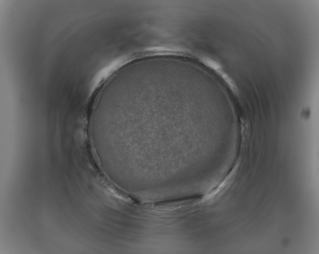 X0000090731357200707271354