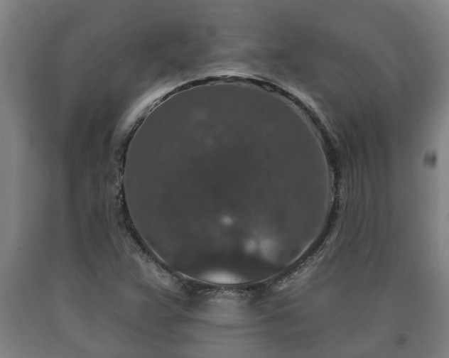 X0000090731359200707271354
