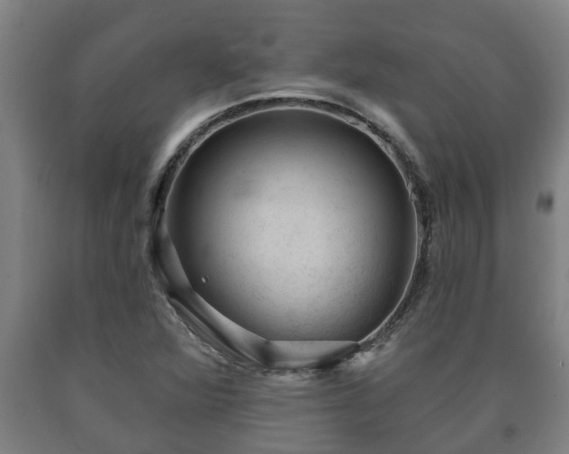 X0000090731360200707271354