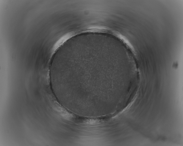 X0000090731362200707271354