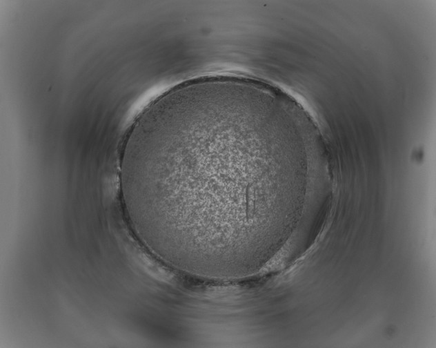 X0000090731363200707271354