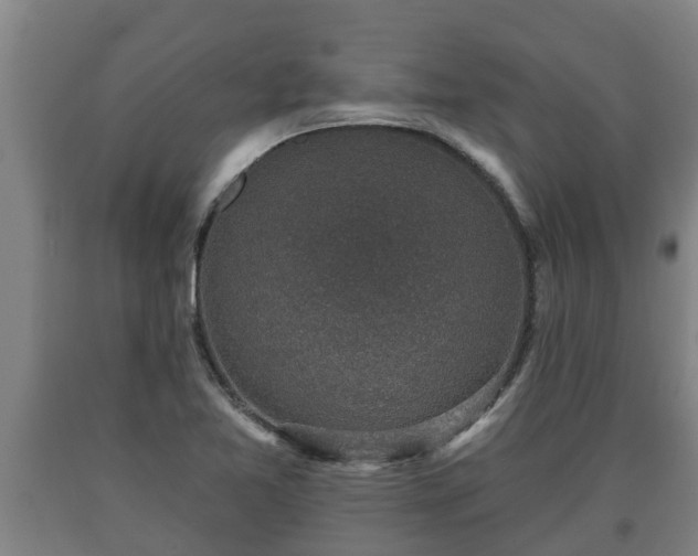 X0000090731365200707271354