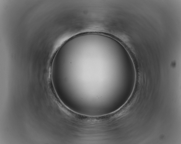 X0000090731366200707271354