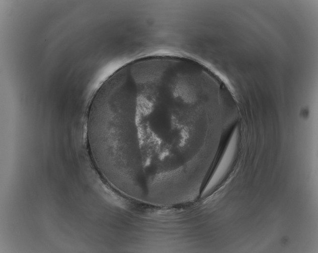 X0000090731367200707271354