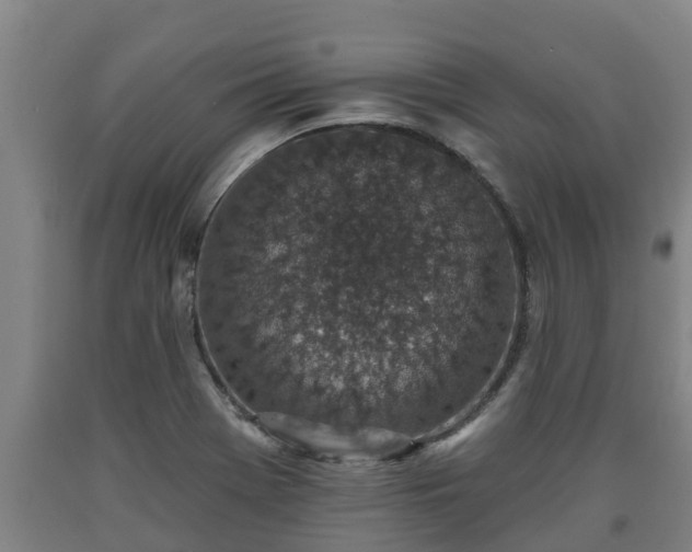 X0000090731369200707271354