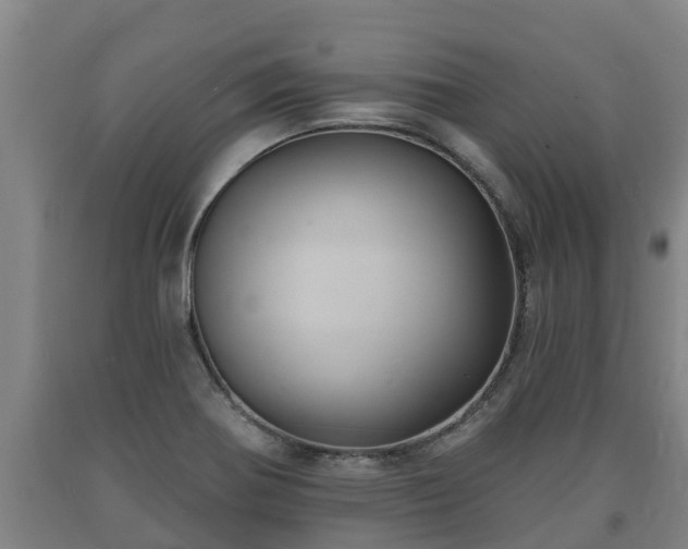X0000090731370200707271354