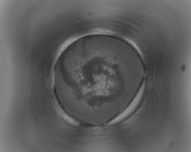 X0000090731371200707271354