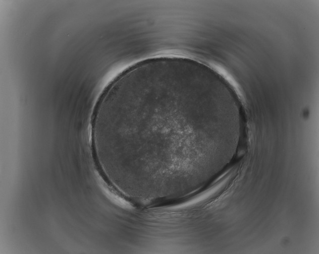 X0000090731372200707271354