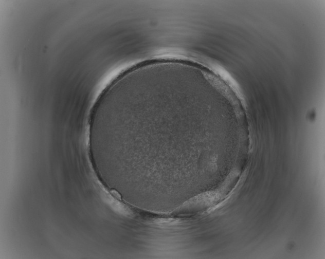 X0000090731376200707271354